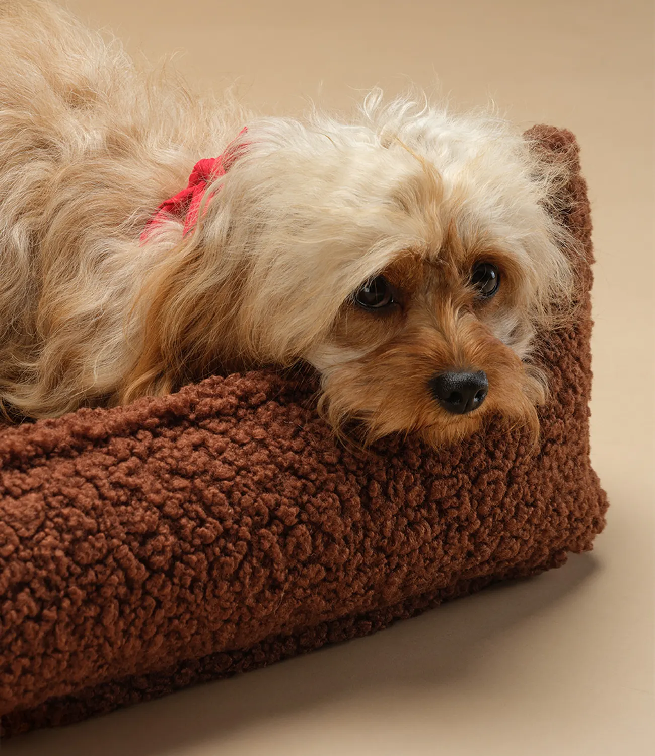Wigiwama Hundesessel Pet Club Größe M Warm Hazel Hund im Sessel