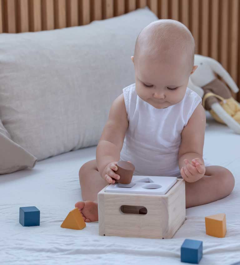 PlanToys Lernspiel Sortieren Orchard