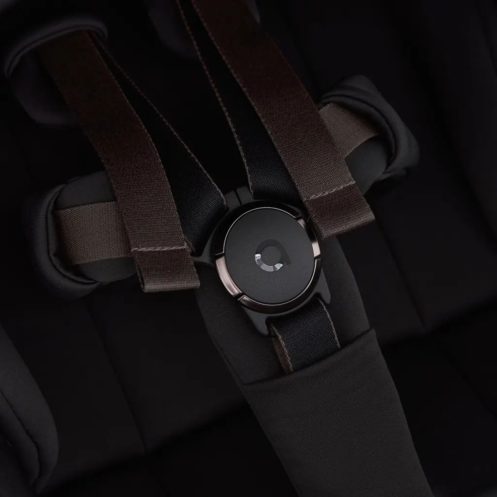 Anex Flo Kinderwagen schwarz Gurtsystem