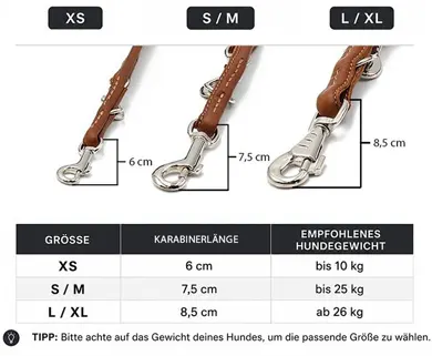 maul hundeleine 2m rundgenaeht silber groeße text