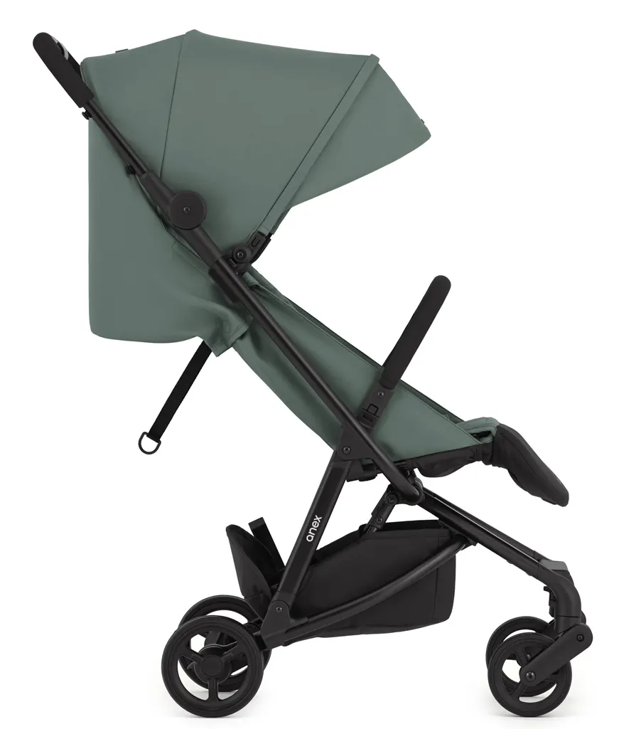 Anex Air-Z Buggy