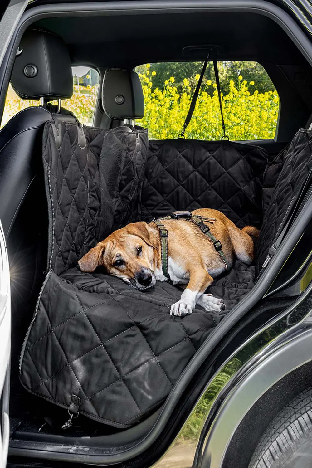 Moon Dog Autoschondecke im Auto mit Hund