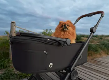 anex-air-q-haustiertasche-text