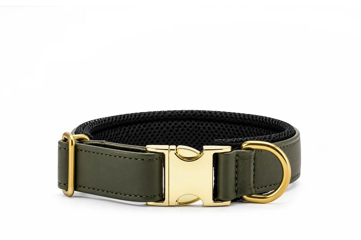 Maul Halsband Active