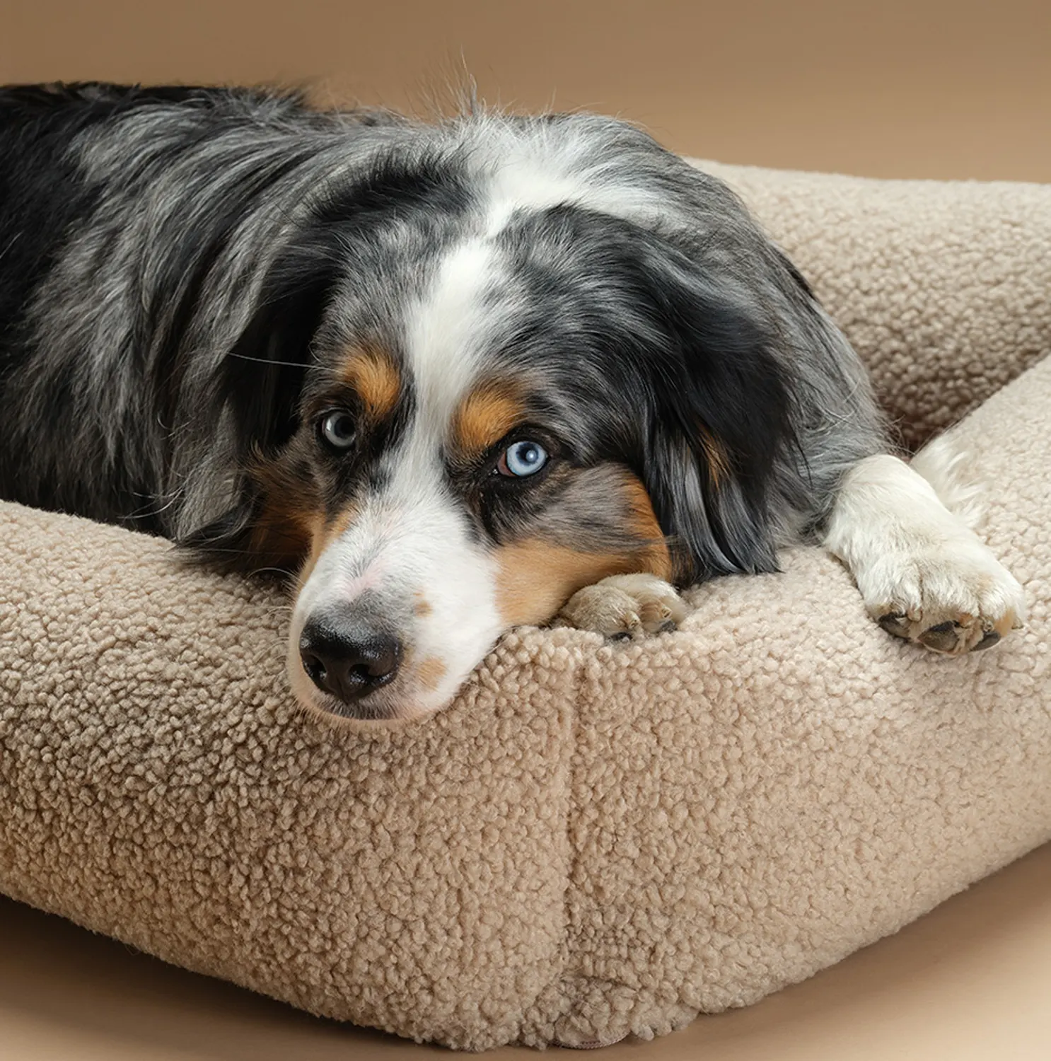 Wigiwama Hundebett größe L Buiscuit Hund im Korb