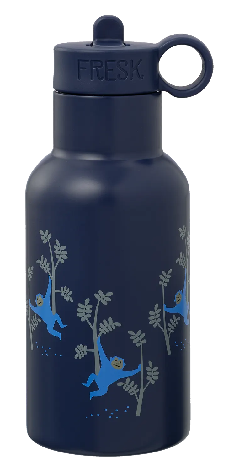 Fresk Thermoflasche Nordic 350ml Flasche mit Trinkhalmverschluss