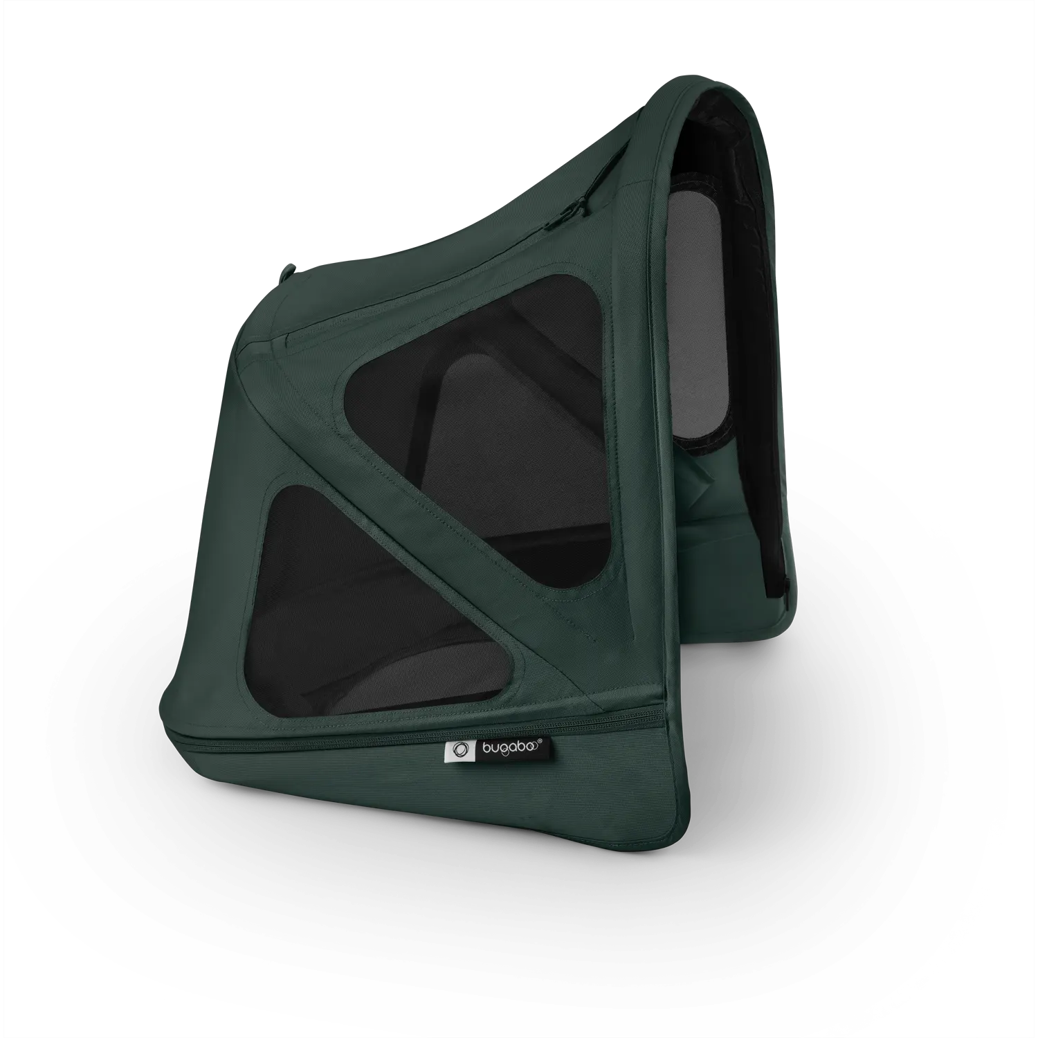 Black/ Fern Green