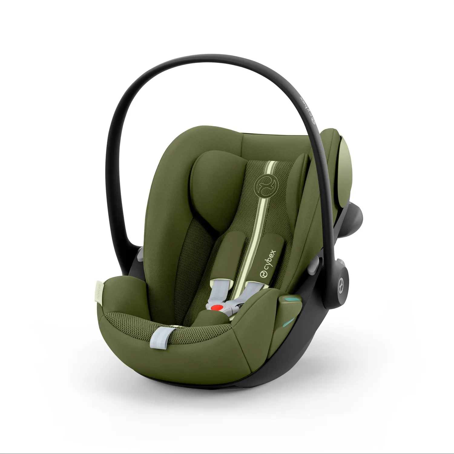 Plus Moss Green