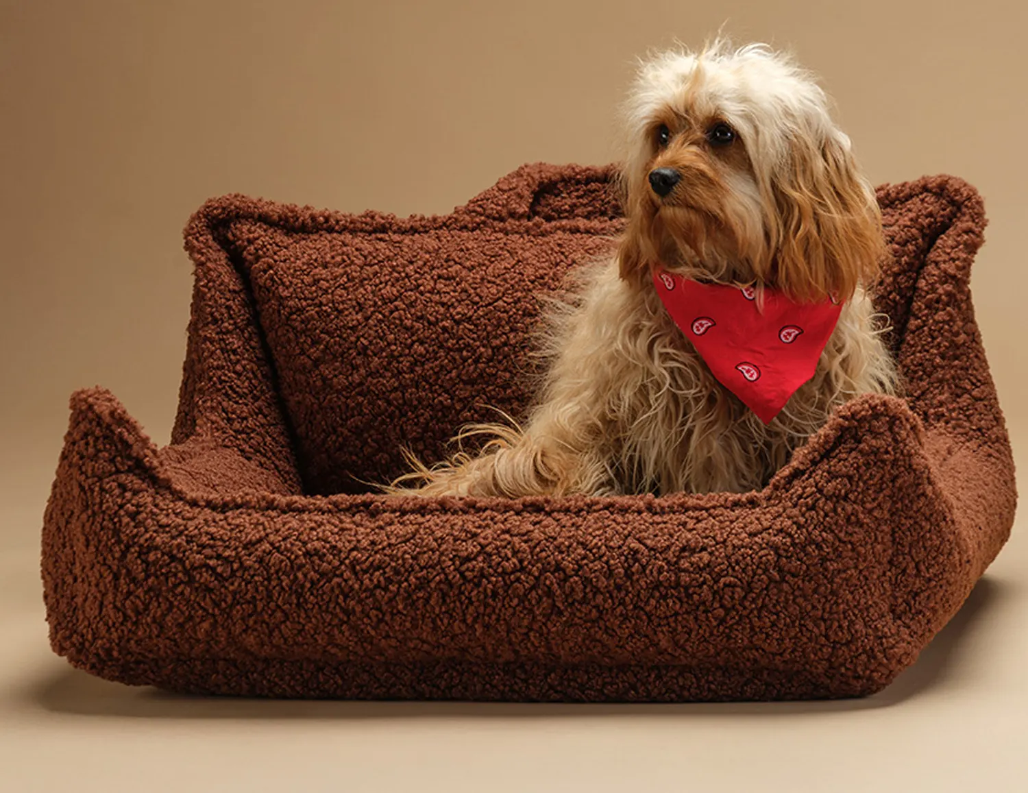 Wigiwama Hundesessel Pet Club Größe M Warm Hazel und im Korb