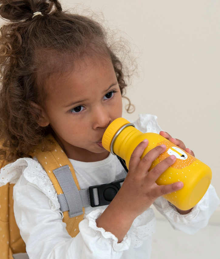 Trixie Trinkflasche Mr. Lion 350 ml