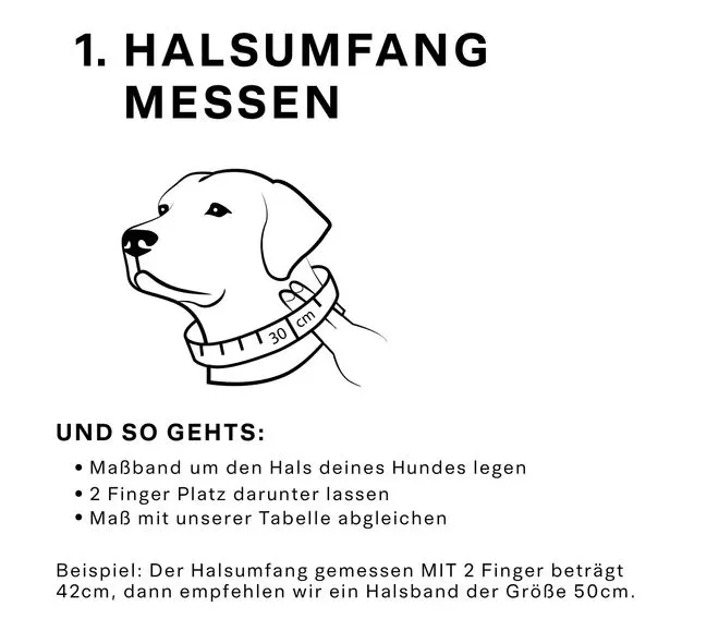 Maul Halsband Jagdglück