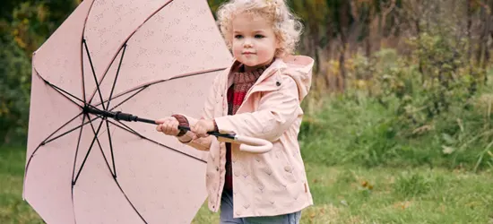 Herbst Accessoires Herbst Accessoires