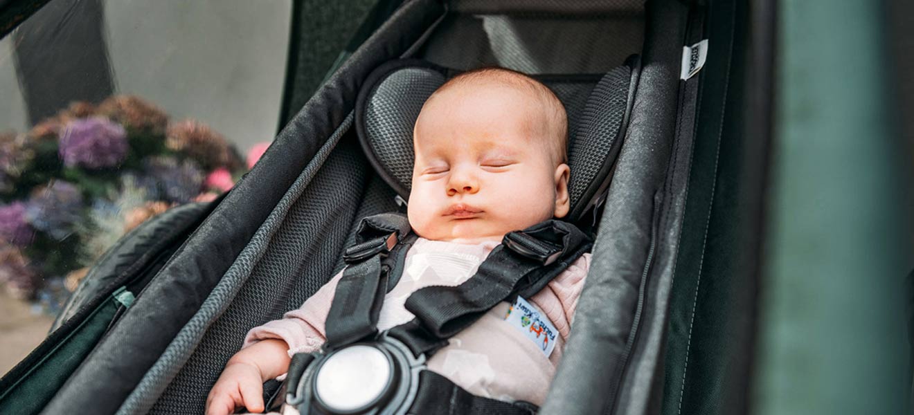Fahrradanhänger Zubehör Fahrradanhänger Zubehör