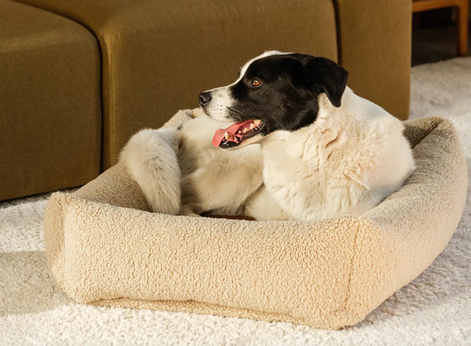Wigiwama Hundebett Größe L buiscuit Hund im Korb