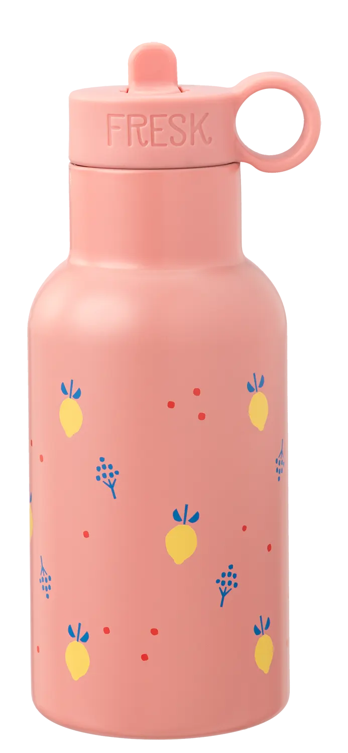 Fresk thermos bottle Nordic 350 ml
