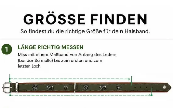 Maul Halsband Jagdglück