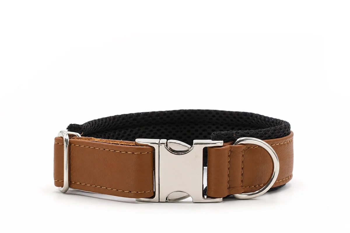 Maul Halsband Active