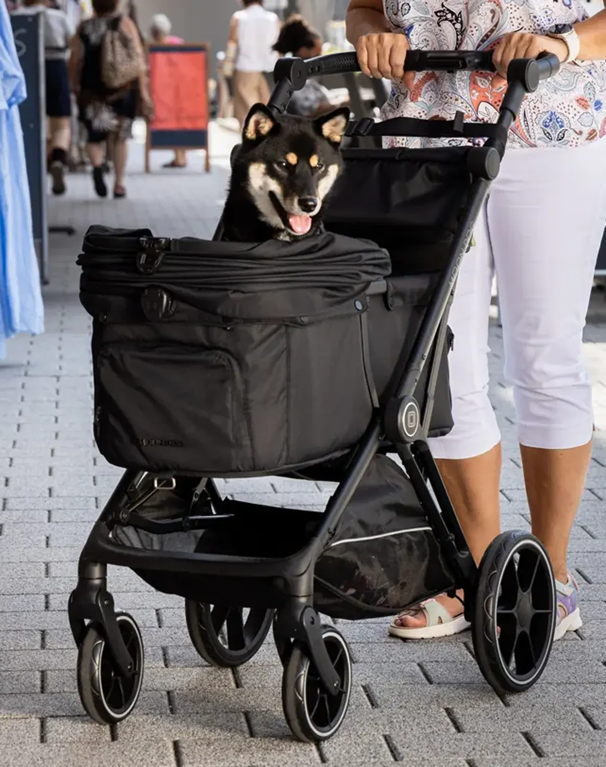 Moon Dog Country Fold Buggy