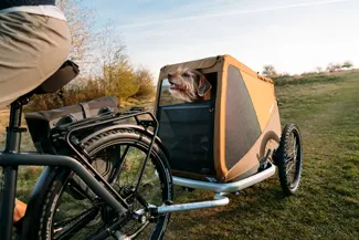 croozer-dog-hunde-fahrradanhaenger-text