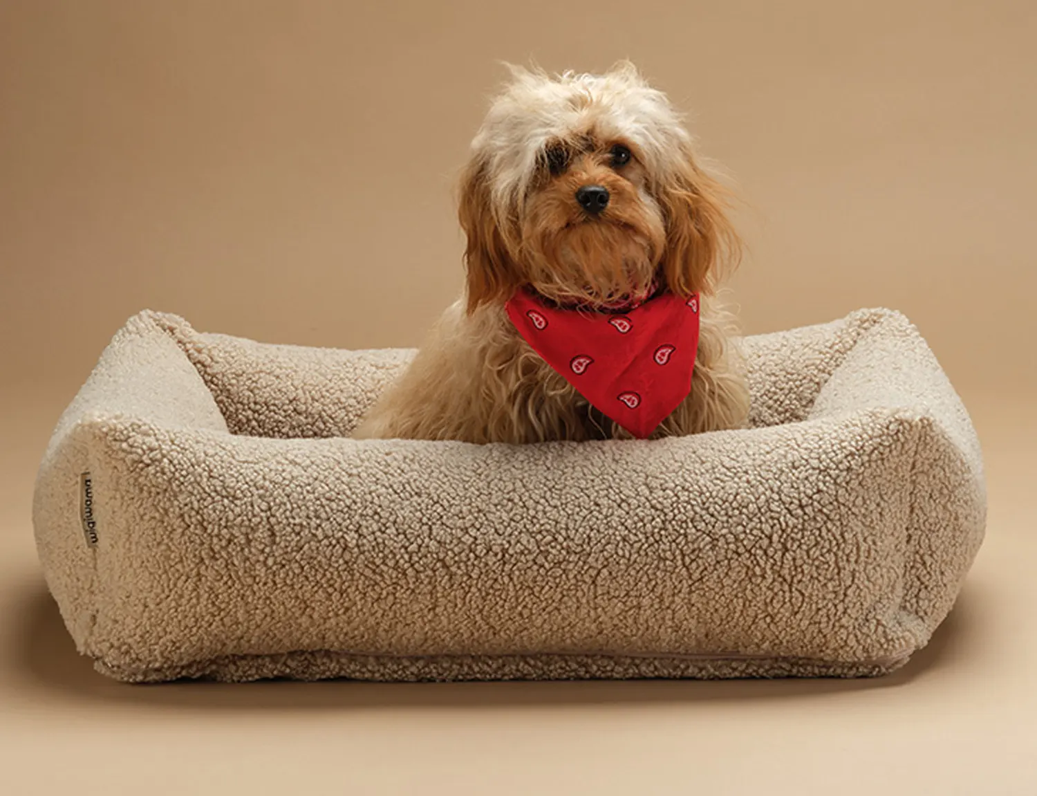 Wigiwama Hundebett Größe M Buiscuit Größe M Hund im Bett