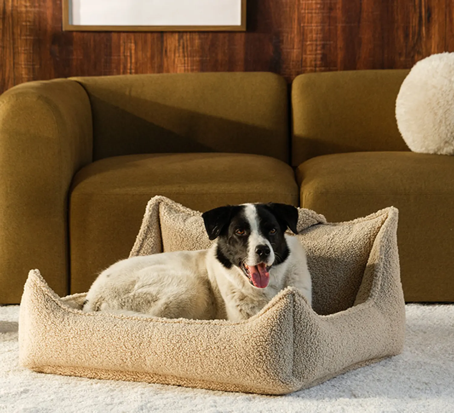 Wigiwama Hundesessel Pet Club Buiscuit Hund im Sessel