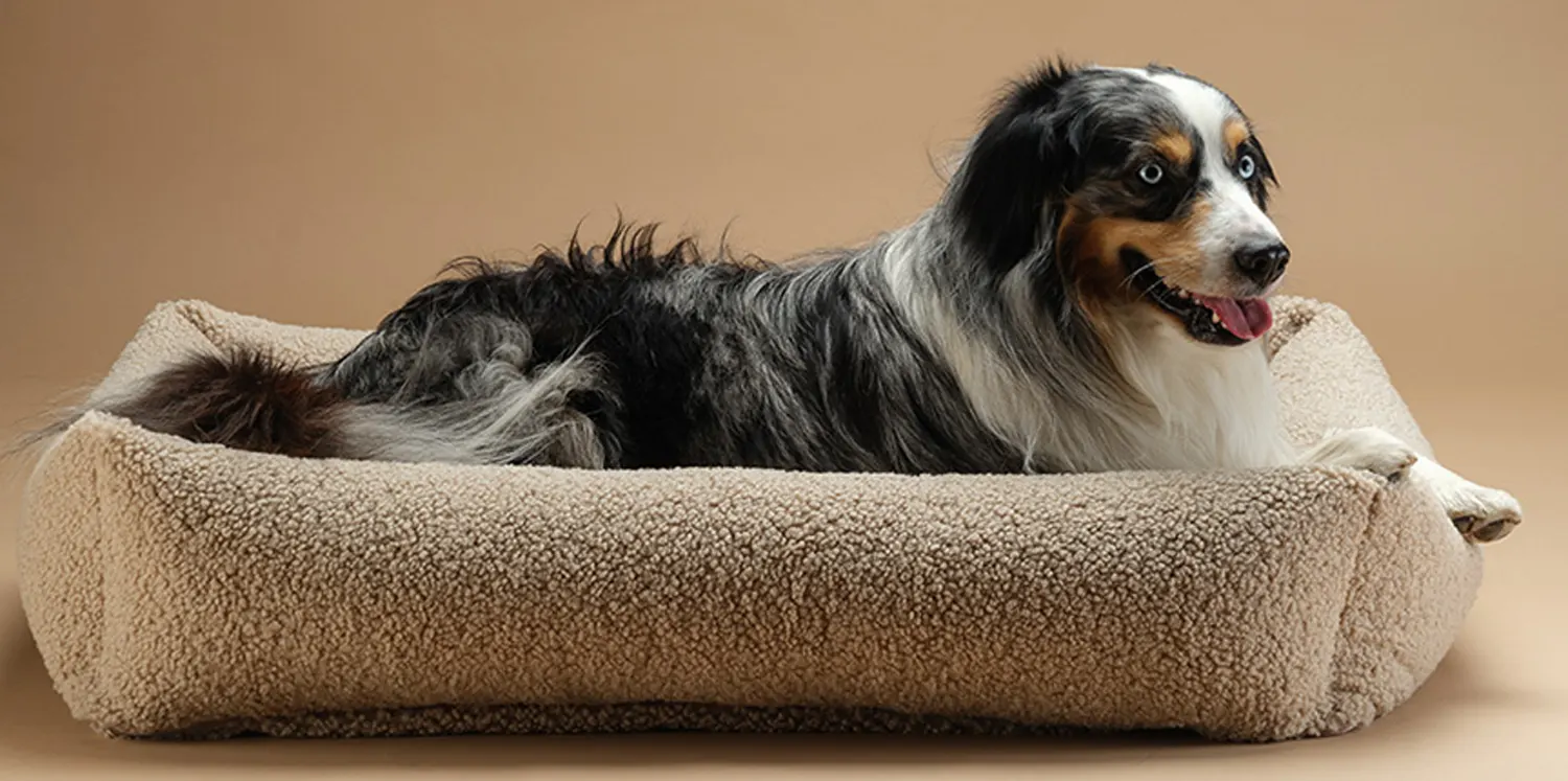 Wigiwama Hundebett Größe L Buiscuite Hund im Korb