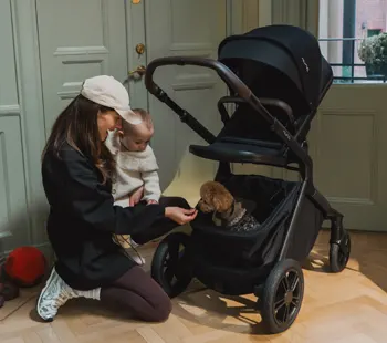 nuna-demi-icon-kinderwagen-text