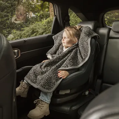 Cloby Auto Poncho