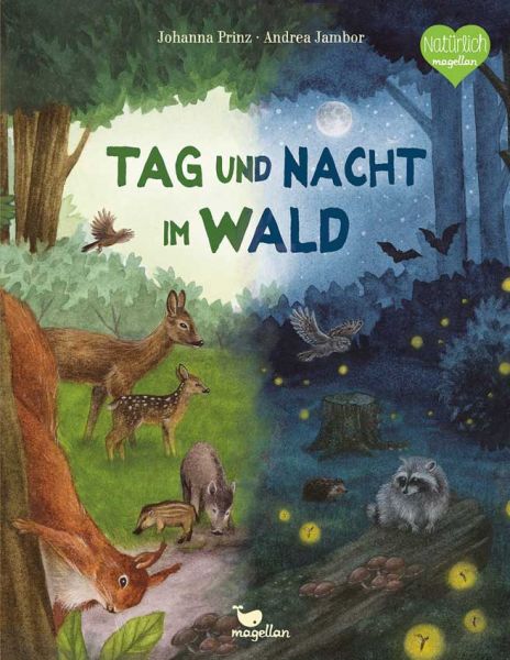 Tag und Nacht im Wald - Kinderbuch